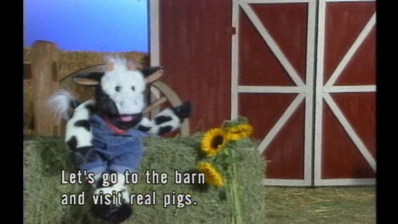 Puppet of a cow in overalls next to a barn. Caption: Let's go to the barn and visit real pigs.