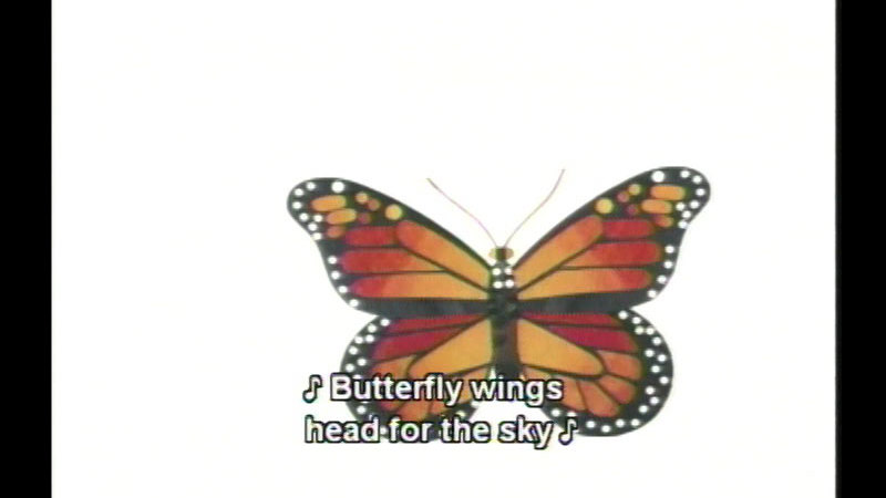 Illustration of a red, yellow, black and white butterfly. Caption: (music) Butterfly wings head for the sky