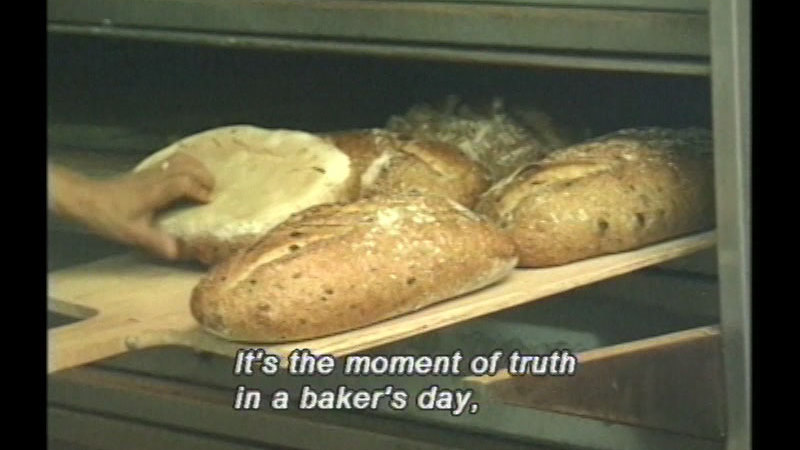 Still image from Bread Comes To Life