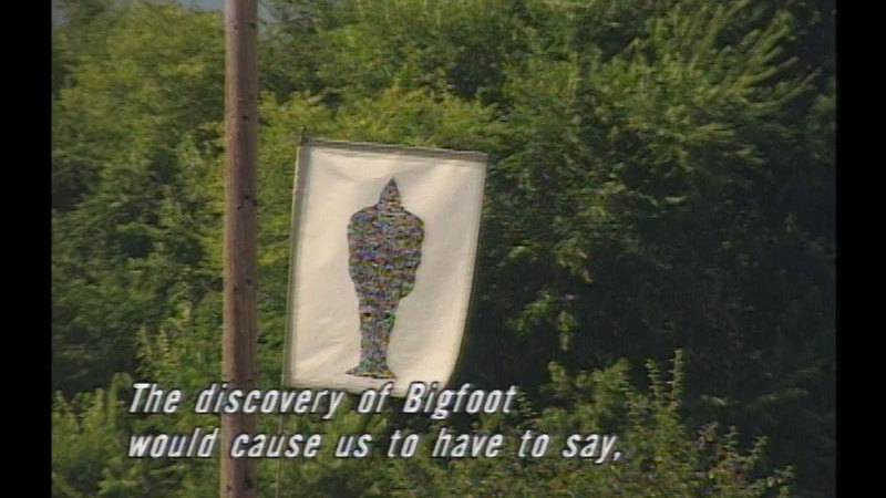 Flag with an image of bigfoot on a pole next to a powerline. Caption: The discovery of Bigfoot would cause us to have to say,
