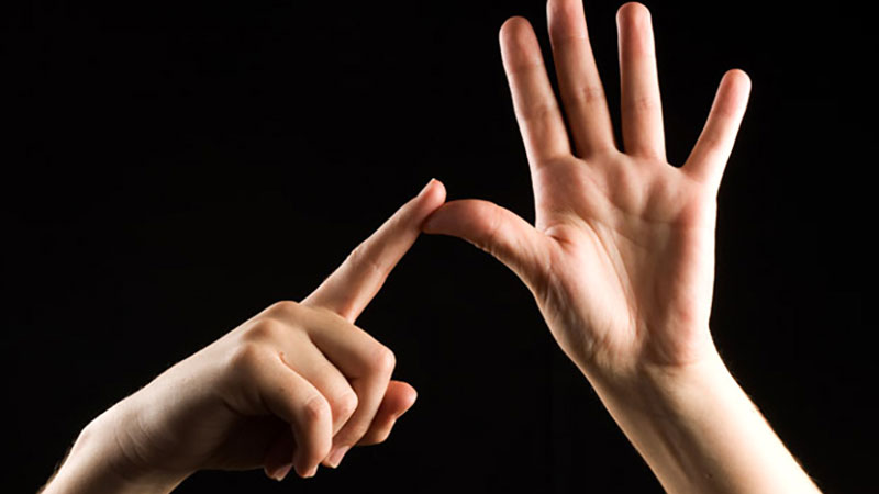 Still image from ASL Sign Terms For Statistics