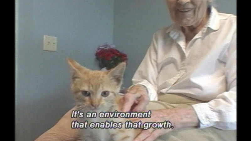 Still image from The Green House Project