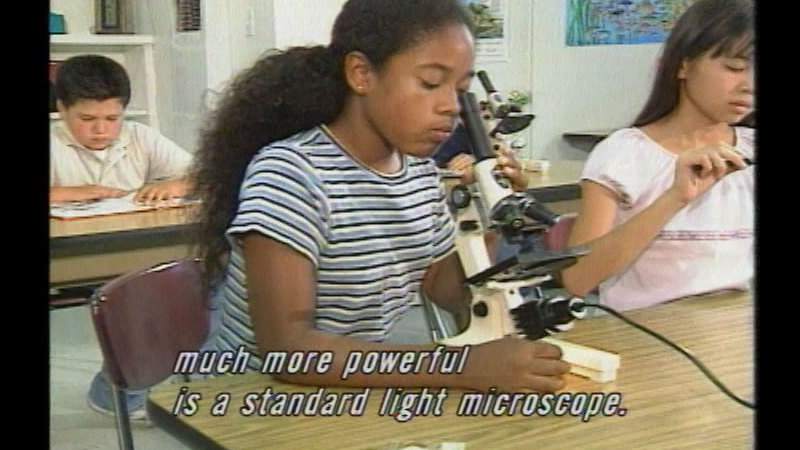 Still image from The Incredible World Of The Microscope