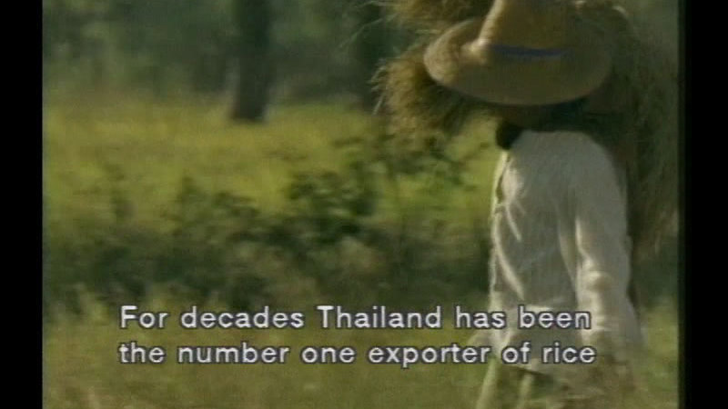 Still image from Thailand