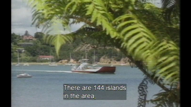 Still image from New Zealand