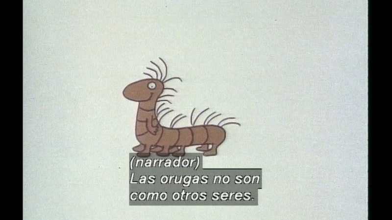 Still image from The Caterpillar And The Polliwog (Spanish)