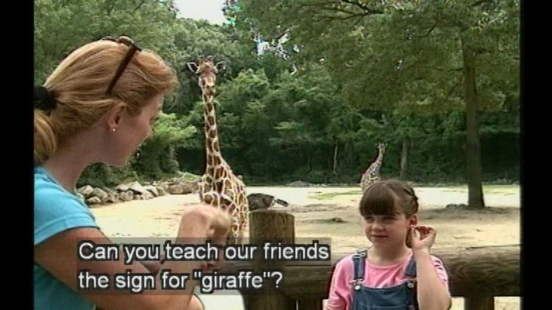 Still image from Signs At The Zoo!