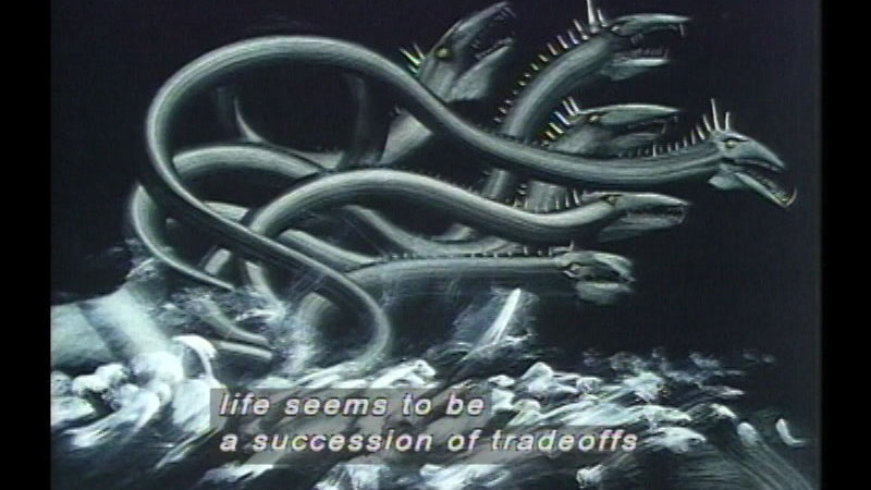 Still image from Homer's Odyssey