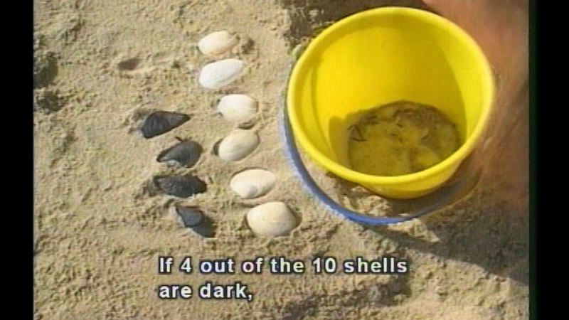 Still image from Probability, Part 1: Experiment, Theory And Odds