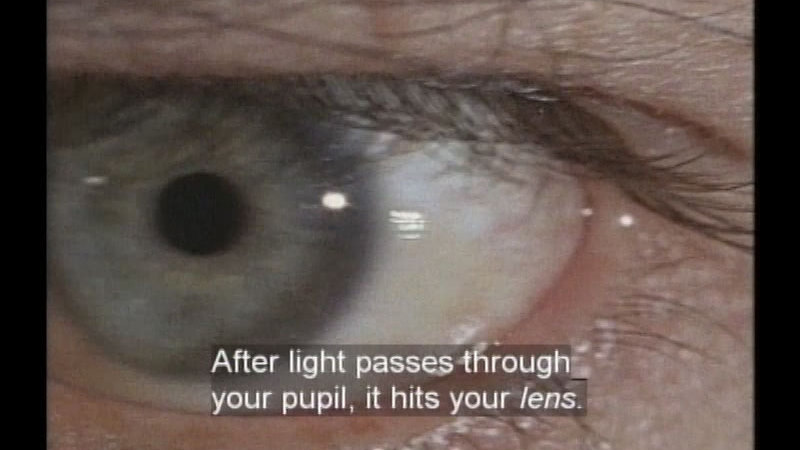 Close up of an eye. Caption: After light passes through your pupil, it hits your lens.