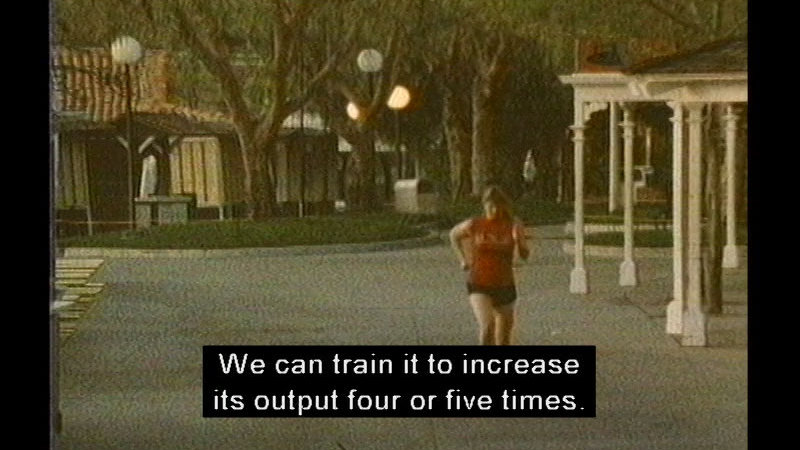 Person running. Caption: We can train it to increase its output four or five times.