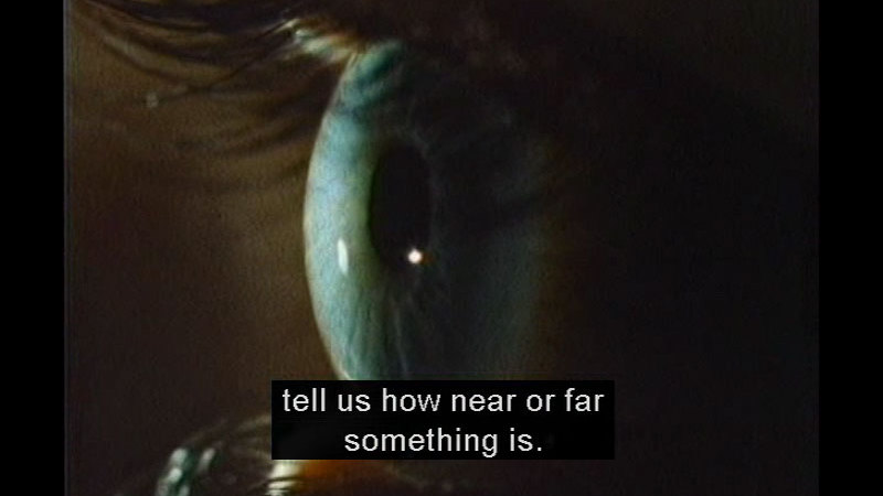 Closeup of the human eye. Caption: tell us how near or far something is.