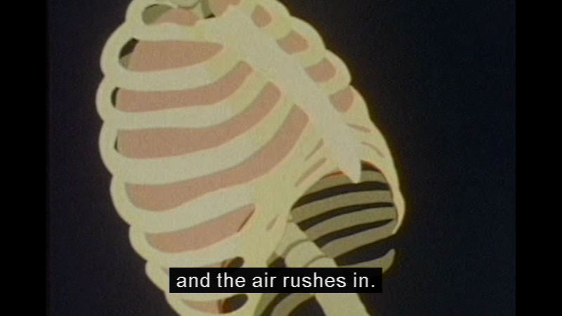 Still image from The Living Body: Breath Of Life