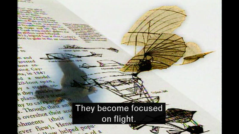 Illustration of a bird and a first-generation plane with ribbed wings. Caption: They become focused on flight.