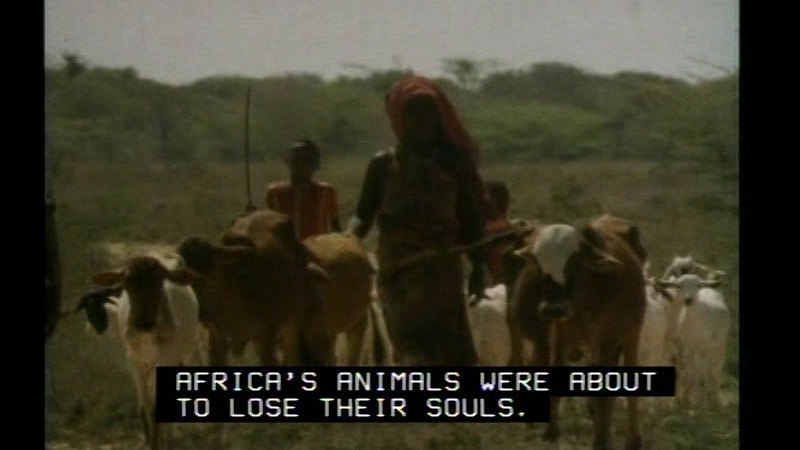 Still image from The Africans: A Triple Legacy--The Nature Of A Continent
