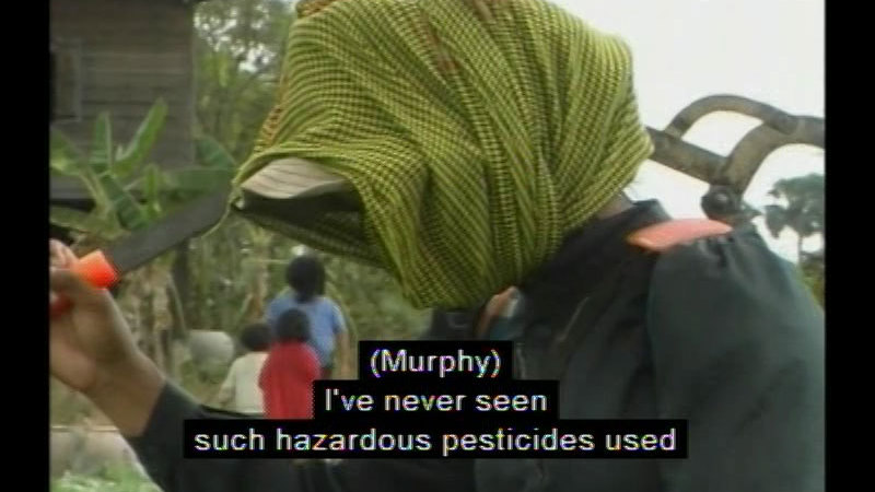 Person with scarf wrapped over their face, carrying a tool on their shoulder. Caption: (Murphy) I've never seen such hazardous pesticides used