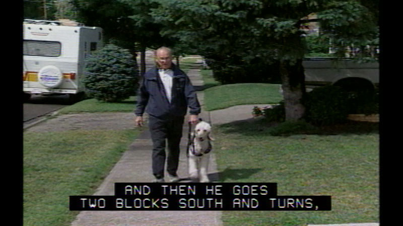 Still image from Healing With Animals--Blindness: Living Fully In A Seeing World