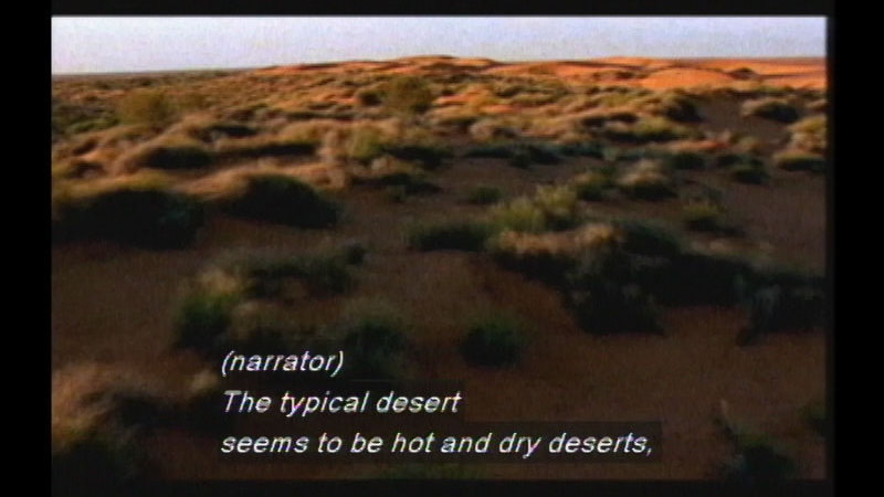 Light brown earth dotted with low lying shrub brush. Caption: (narrator) The typical desert seems to be hot and dry deserts,