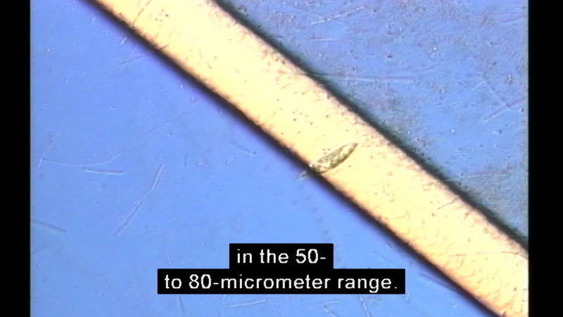 Straight line of light against a light blue background. Caption: in the 50-to-80-micrometer range.