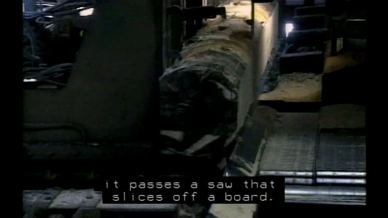 Still image from Lumber