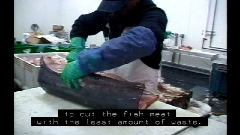 Person wearing rubber gloves and an apron cuts open a large fish. Caption: to cut the fish meat with the least amount of waste.