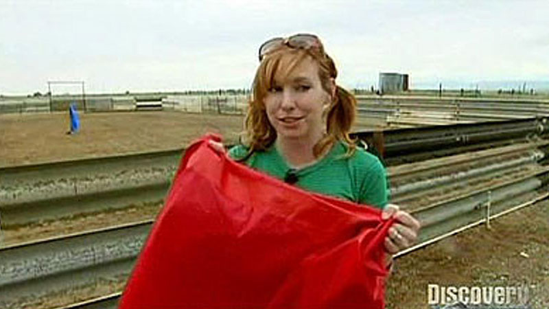 Still image from Red Rag To A Bull