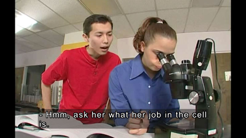Two young people in a classroom setting, one looking through a microscope. Caption: - Hmm, ask her what her job in the cell is.