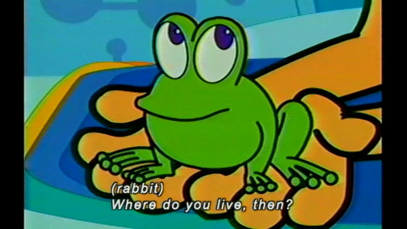 Cartoon of a frog sitting in a set of hands. Caption: (rabbit) Where do you live, then?