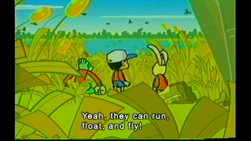 Still image from Moved To Fly
