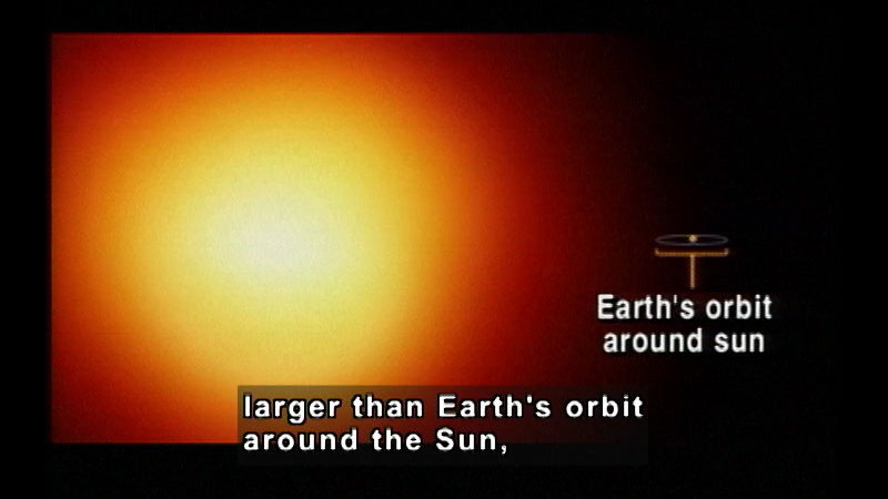Large sphere of glowing light dwarfs object labelled as Earth's orbit around sun. Caption: larger than Earth's orbit around the Sun,
