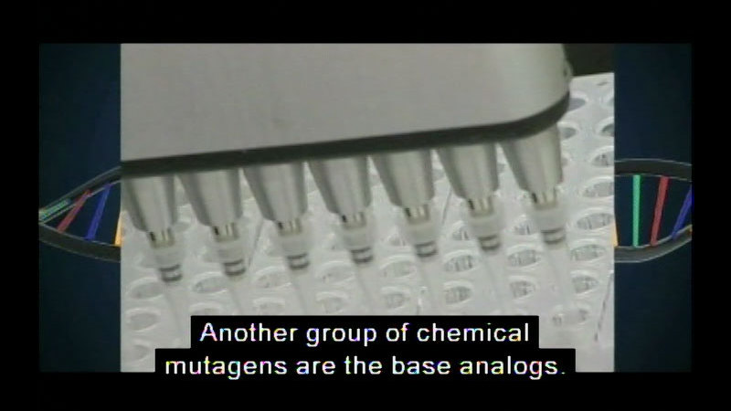 Machine inserting something into rows of test-tubes. DNA strand in the background. Caption: Another group of chemical mutagens are the base analogs.