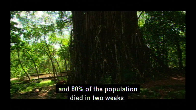 Still image from The Adventurers: A Story Told In Stone