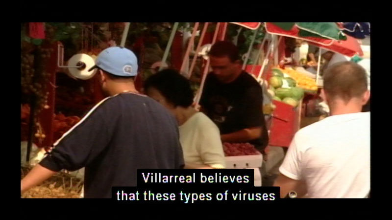 People in an open-air market. Caption: Villarreal believes that these types of viruses