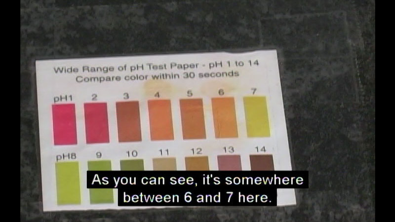 Wide range of pH test paper - pH 1 to 14 Compare color within 30 seconds. Shows bars of color ranging from red to yellow to brown. Caption: As you can see it's somewhere between 6 and 7 here.