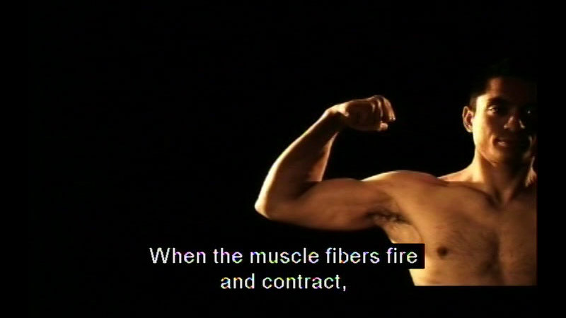 Shirtless muscular man flexing his bicep. Caption: When the muscle fibers fire and contract,