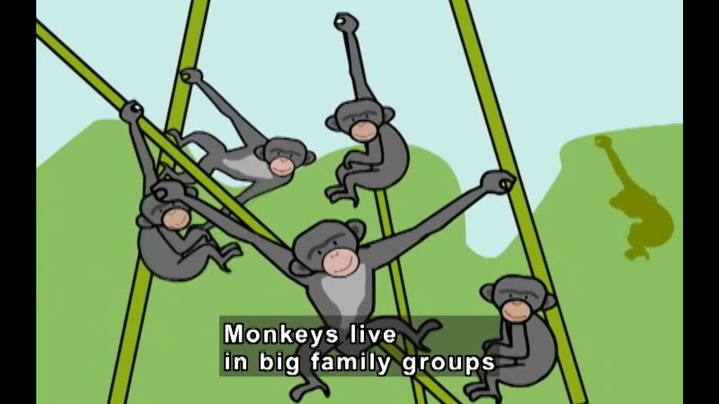 Still image from Learn From Nature: Sharing