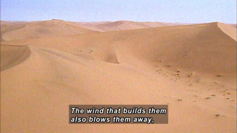Sand dunes. Caption: The wind that builds them also blows them away,