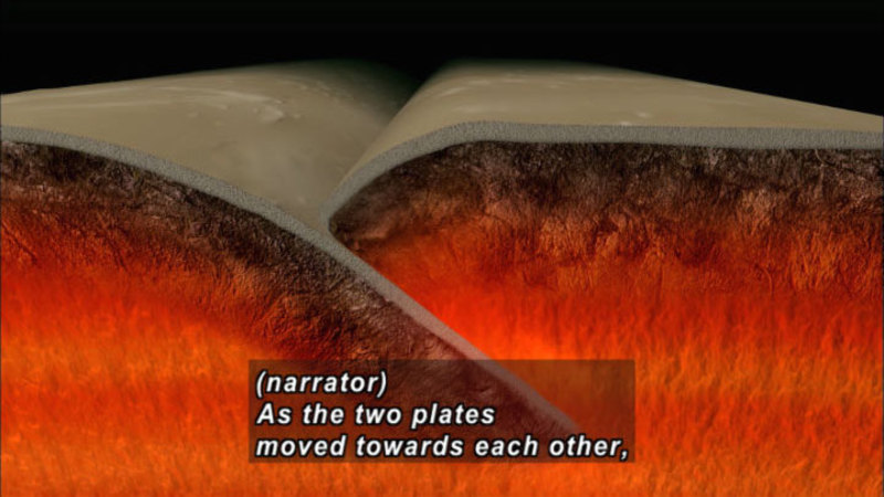 Illustration of a plate of Earth's crust being pushed beneath a second plate. Caption: (narrator) As the two plates moved towards each other,