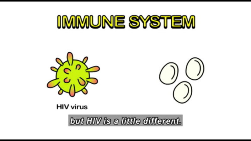 Illustration of HIV virus and three cells. Caption: IMMUNE SYSTEM but HIV is a little different.
