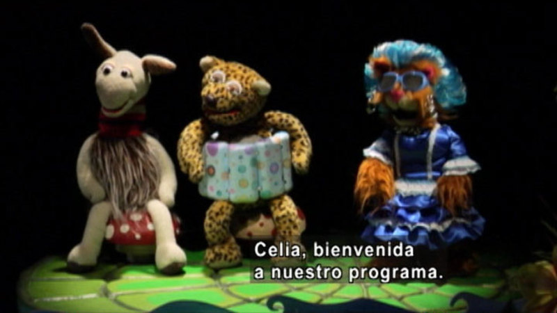 Three animal puppets. Spanish captions.