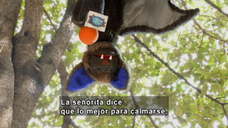 A bat puppet hanging upside down on stage holding a microphone. Spanish captions.