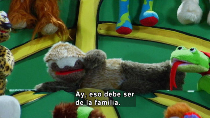 A sloth puppet laying on his side with other puppets around him. Spanish captions.