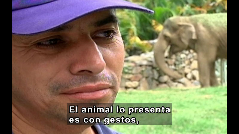 Still image from Vox Populi-Zoology (Spanish)