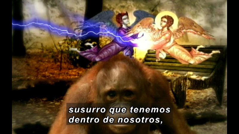 Still image from Vox Populi-Kant (Spanish)