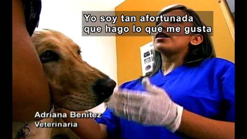 Still image from Vox Populi-Work (Spanish)
