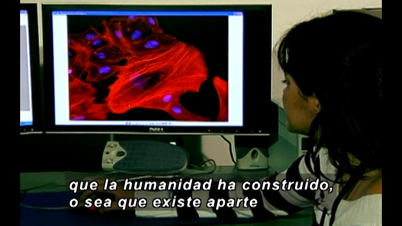 Still image from Vox Populi-Science (Spanish)