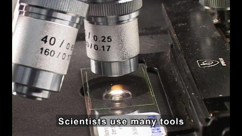 Microscope and slide. Caption: Scientists use many tools
