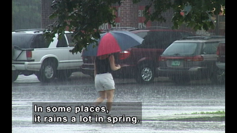 Still image from Spring