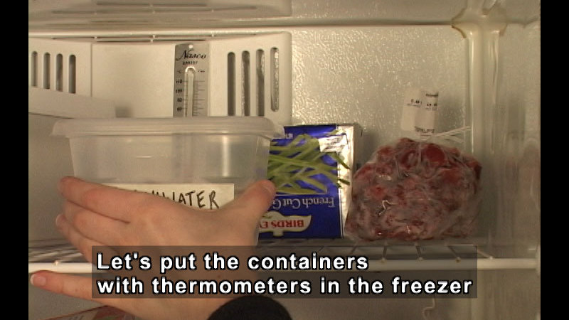 Person placing a clear plastic container with a thermometer in the freezer. Caption: Let's put the containers with thermometers in the freezer.