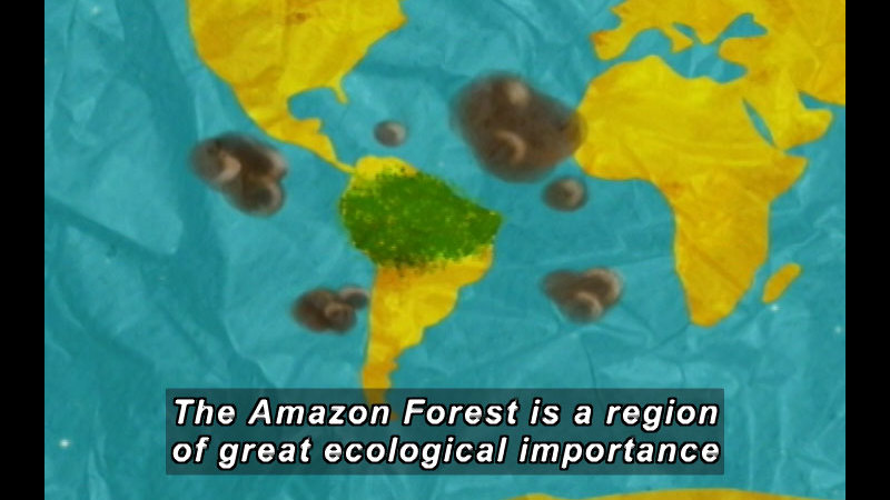 Illustration of a map of the world centered on South America. Caption: The Amazon Forest is a region of great ecological importance